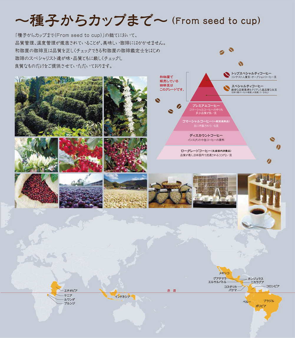 �p���t���b�g2